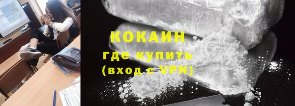 индика Абаза