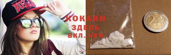 индика Абаза
