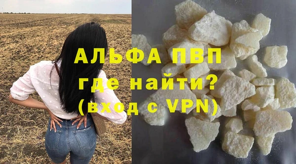 индика Абаза