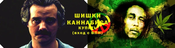индика Абаза