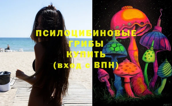 индика Абаза