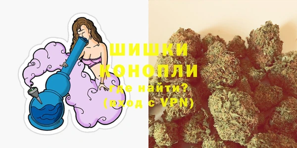 индика Абаза