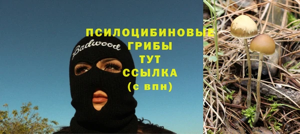 индика Абаза