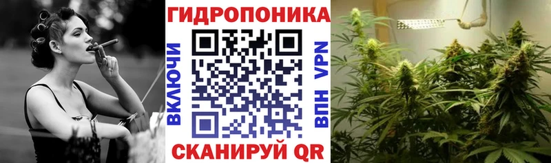 продажа наркотиков  Зеленодольск  Марихуана AK-47 